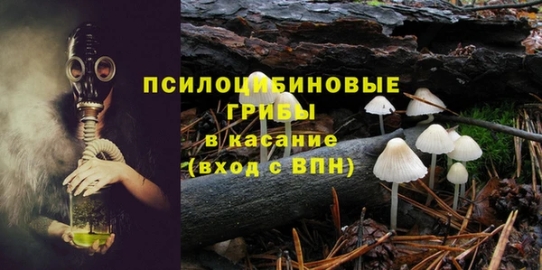 бошки Богданович