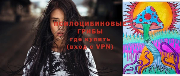 бошки Богданович