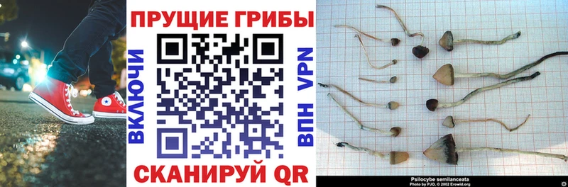 Псилоцибиновые грибы Magic Shrooms  Среднеуральск 